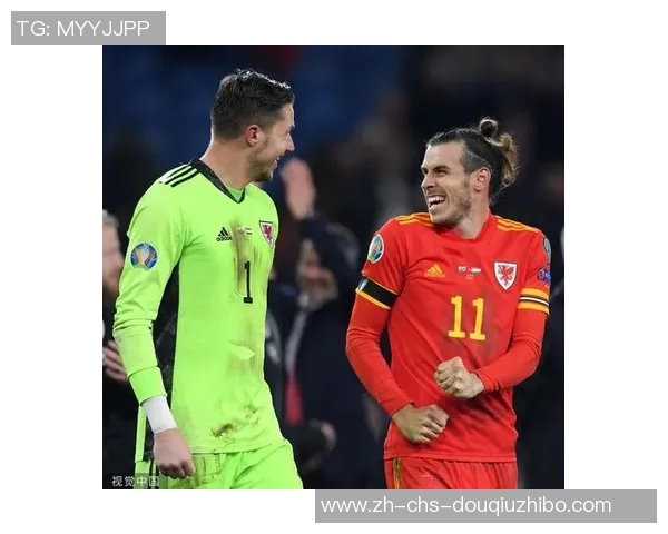 威尔士与奥地利激战正酣球迷期待精彩对决与历史交锋